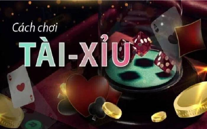 Luật chơi cơ bản trò chơi tài xỉu online