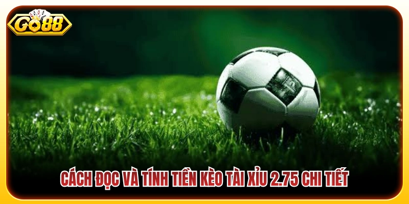 Tài Xỉu 2.75 Là Gì? Mẹo Bắt Kèo Luôn Thắng Đậm Tại Go88 3 Hướng dẫn cách phân định thắng thua và tính tiền kèo